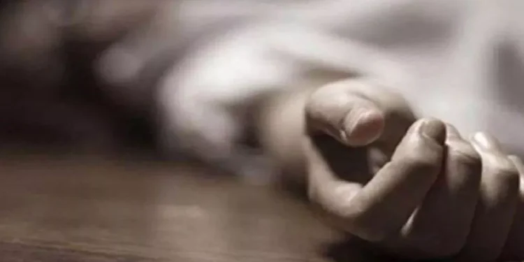 बिजली के तार डालते समय टूटा सीमेंट का खंभा, लाइनमैन की मौत