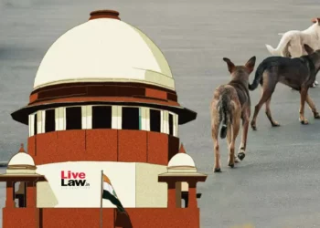 “मैं इस पर विचार करूंगा” : सीजेआई बी. आर. गवई, आवारा कुत्तों से जुड़ी याचिका पर