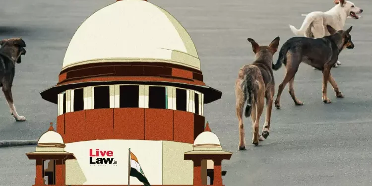 “मैं इस पर विचार करूंगा” : सीजेआई बी. आर. गवई, आवारा कुत्तों से जुड़ी याचिका पर