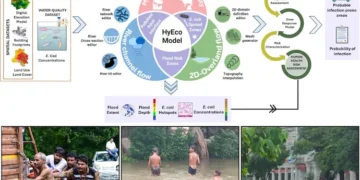 आईआईटी रुड़की ने बनाया बाढ़ से फैलने वाली बीमारियों पर नज़र रखने का टूल, दिल्ली की बाढ़ में किया गया परीक्षण