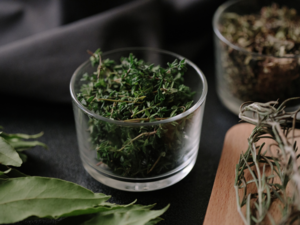 आईआईटी रुड़की के वैज्ञानिकों ने खुलासा किया कि यह आम जड़ी-बूटी दुनिया के सबसे खतरनाक सुपरबग्स को हरा सकती है और एंटीबायोटिक की ताकत बढ़ा सकती है।