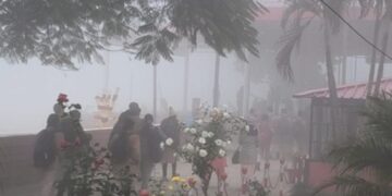 देहरादून में घने कोहरे का कहर, जनजीवन और उड़ानें प्रभावित, येलो अलर्ट जारी…