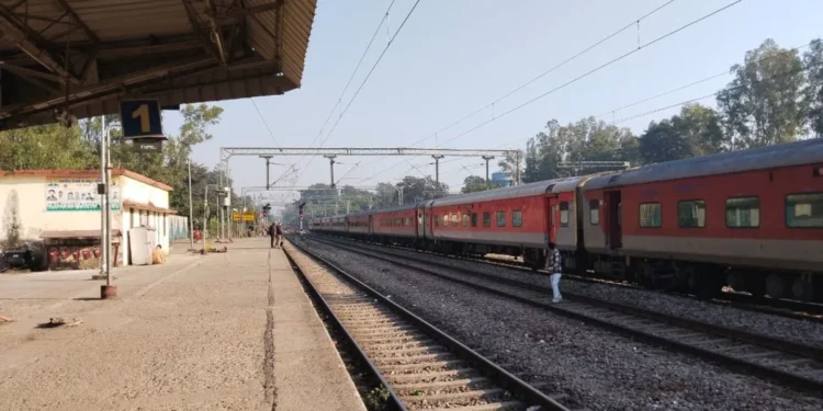 राजाजी टाइगर रिजर्व में ट्रेन हादसा, शिशु हाथी की मौत…