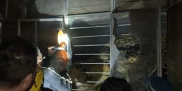 रुड़की की अनाज मंडी बीटीगंज के गोदाम में भीषण आग, दमकल की तत्परता से टला बड़ा हादसा…