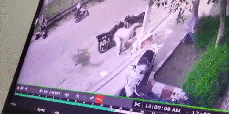 स्कूल के बाहर छात्रों पर फायरिंग, इलाके में दहशत…