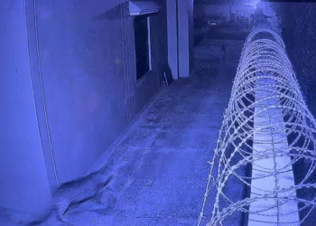 रुड़की में गुलदार का आतंक: घर में घुसकर कुत्ते पर किया हमला, गांव में दहशत…