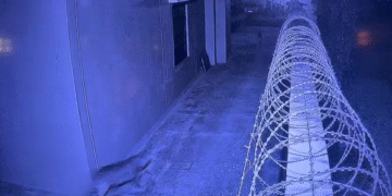 रुड़की में गुलदार का आतंक: घर में घुसकर कुत्ते पर किया हमला, गांव में दहशत…