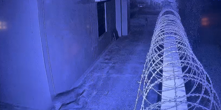 रुड़की में गुलदार का आतंक: घर में घुसकर कुत्ते पर किया हमला, गांव में दहशत…